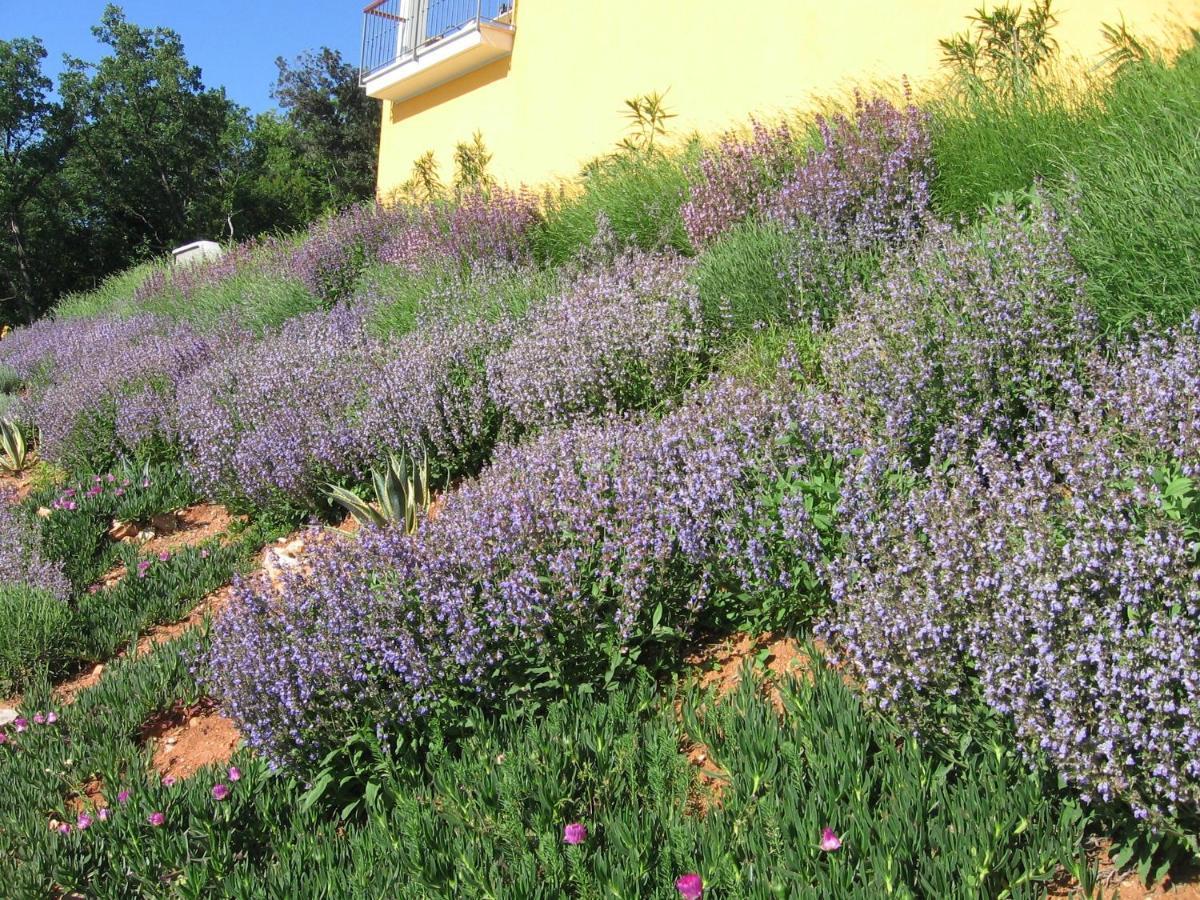 Villa Katarina Moscenicka Draga Bagian luar foto